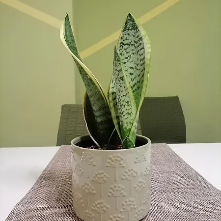 Cosy, Feel-good In * テッサロニキ