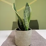 Cosy, Feel-good In * Soluň